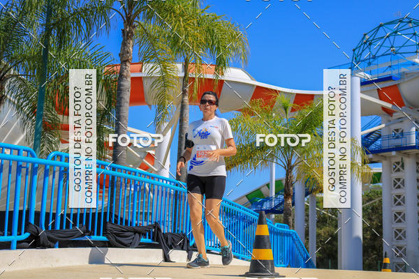 Buy your photos of the eventACQUAFEST Wet�n Wild on Fotop