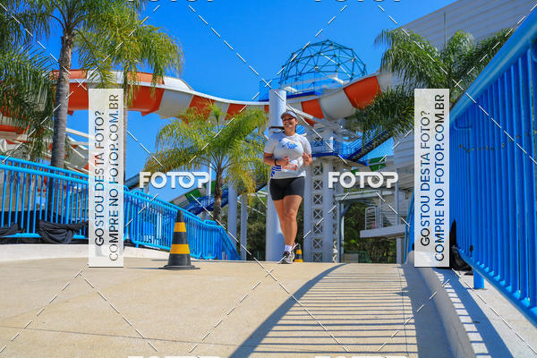 Buy your photos of the eventACQUAFEST Wet�n Wild on Fotop