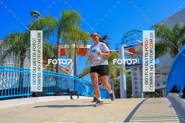 Buy your photos of the eventACQUAFEST Wet�n Wild on Fotop