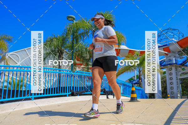 Buy your photos of the eventACQUAFEST Wet�n Wild on Fotop