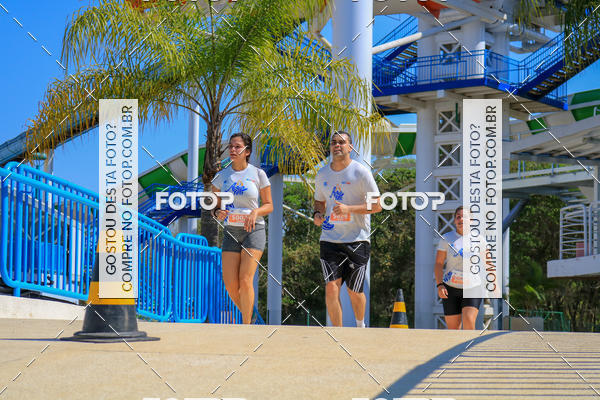 Buy your photos of the eventACQUAFEST Wet�n Wild on Fotop