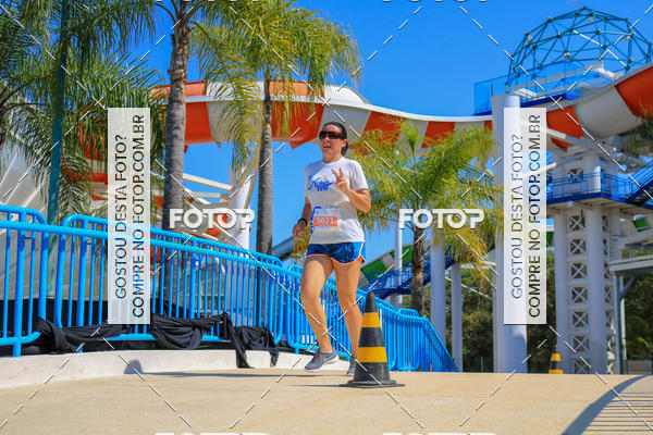 Buy your photos of the eventACQUAFEST Wet�n Wild on Fotop