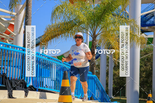 Buy your photos of the eventACQUAFEST Wet�n Wild on Fotop