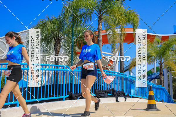 Buy your photos of the eventACQUAFEST Wet�n Wild on Fotop