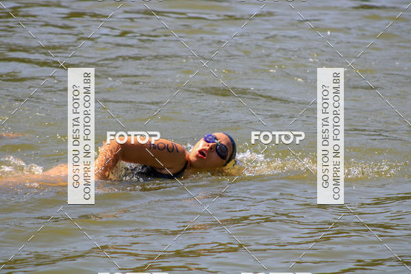 Buy your photos of the eventACQUAFEST Wet�n Wild on Fotop