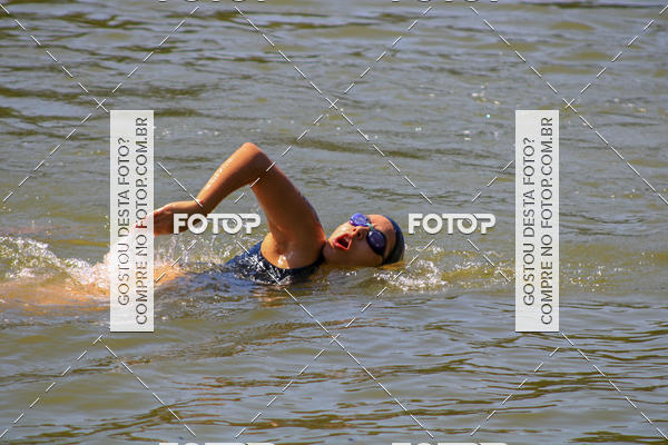 Buy your photos of the eventACQUAFEST Wet�n Wild on Fotop