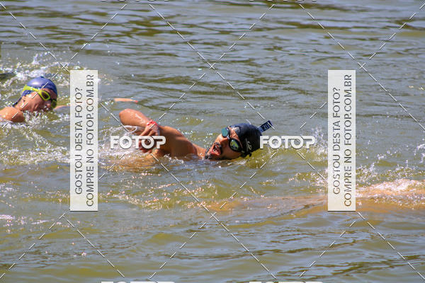 Buy your photos of the eventACQUAFEST Wet�n Wild on Fotop