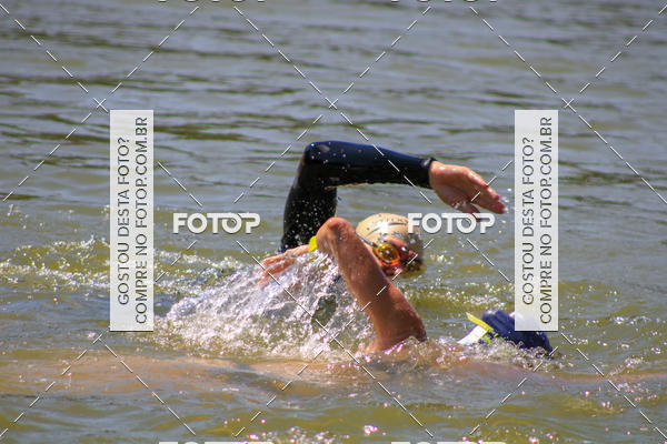 Buy your photos of the eventACQUAFEST Wet�n Wild on Fotop