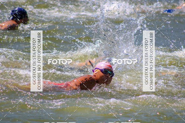 Buy your photos of the eventACQUAFEST Wet�n Wild on Fotop