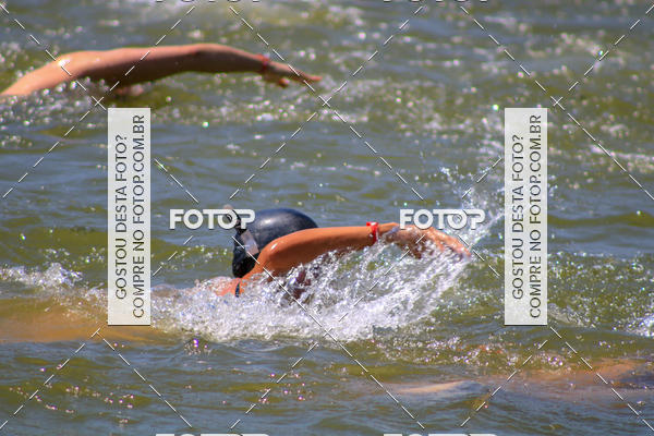 Buy your photos of the eventACQUAFEST Wet�n Wild on Fotop