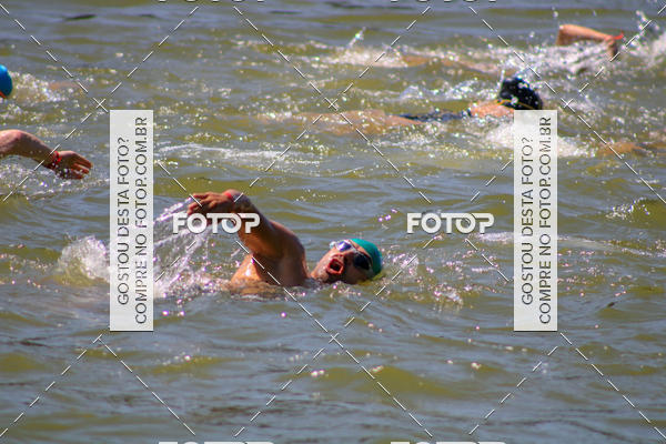 Buy your photos of the eventACQUAFEST Wet�n Wild on Fotop