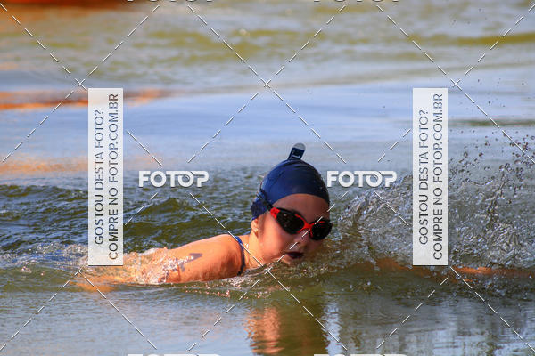 Buy your photos of the eventACQUAFEST Wet�n Wild on Fotop