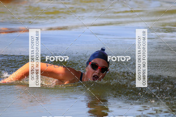 Buy your photos of the eventACQUAFEST Wet�n Wild on Fotop