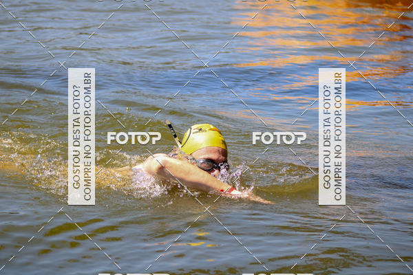 Buy your photos of the eventACQUAFEST Wet�n Wild on Fotop