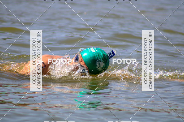 Buy your photos of the eventACQUAFEST Wet�n Wild on Fotop