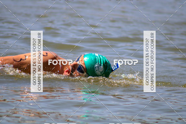 Buy your photos of the eventACQUAFEST Wet�n Wild on Fotop