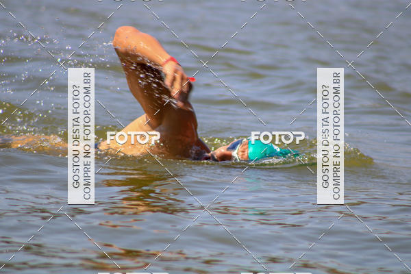 Buy your photos of the eventACQUAFEST Wet�n Wild on Fotop