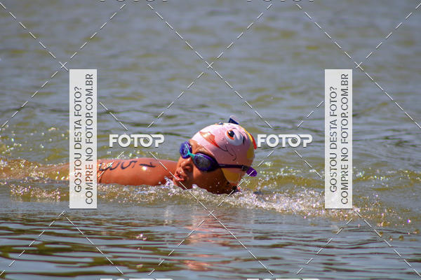 Buy your photos of the eventACQUAFEST Wet�n Wild on Fotop