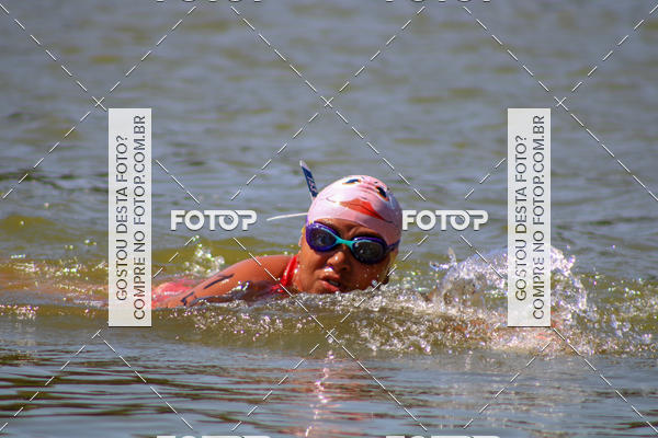 Buy your photos of the eventACQUAFEST Wet�n Wild on Fotop