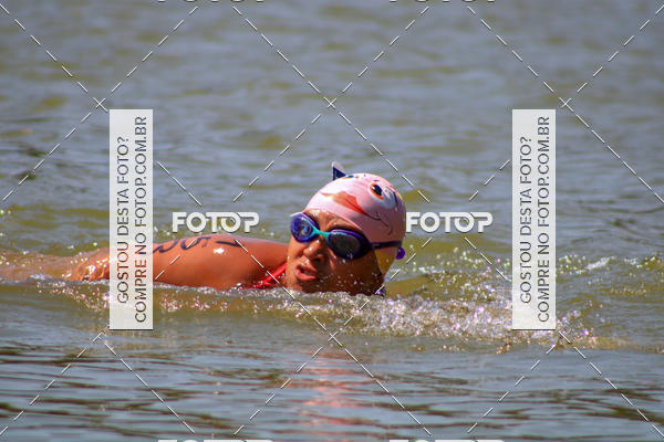 Buy your photos of the eventACQUAFEST Wet�n Wild on Fotop