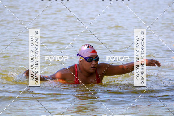 Buy your photos of the eventACQUAFEST Wet�n Wild on Fotop