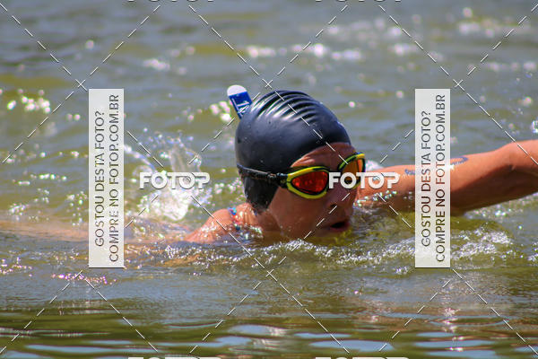 Buy your photos of the eventACQUAFEST Wet�n Wild on Fotop