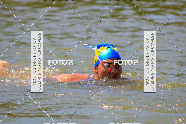 Buy your photos of the eventACQUAFEST Wet�n Wild on Fotop