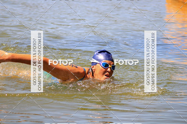 Buy your photos of the eventACQUAFEST Wet�n Wild on Fotop