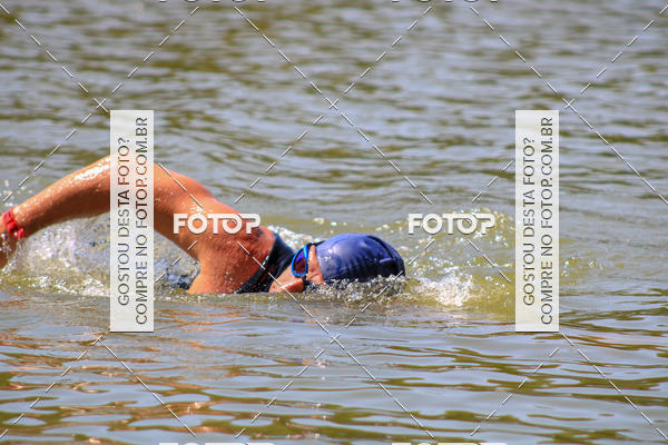 Buy your photos of the eventACQUAFEST Wet�n Wild on Fotop