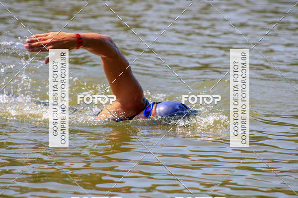 Buy your photos of the eventACQUAFEST Wet�n Wild on Fotop