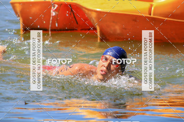 Buy your photos of the eventACQUAFEST Wet�n Wild on Fotop