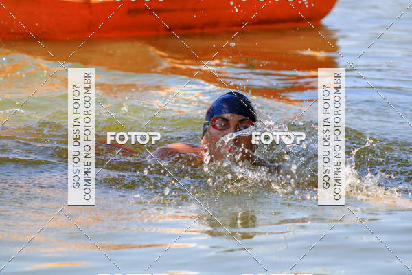 Buy your photos of the eventACQUAFEST Wet�n Wild on Fotop