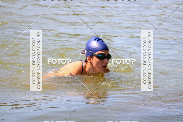 Buy your photos of the eventACQUAFEST Wet�n Wild on Fotop