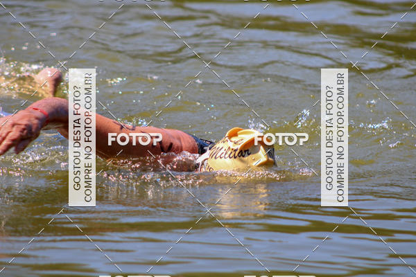 Buy your photos of the eventACQUAFEST Wet�n Wild on Fotop