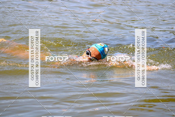 Buy your photos of the eventACQUAFEST Wet�n Wild on Fotop