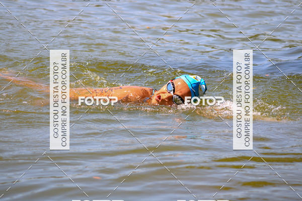 Buy your photos of the eventACQUAFEST Wet�n Wild on Fotop