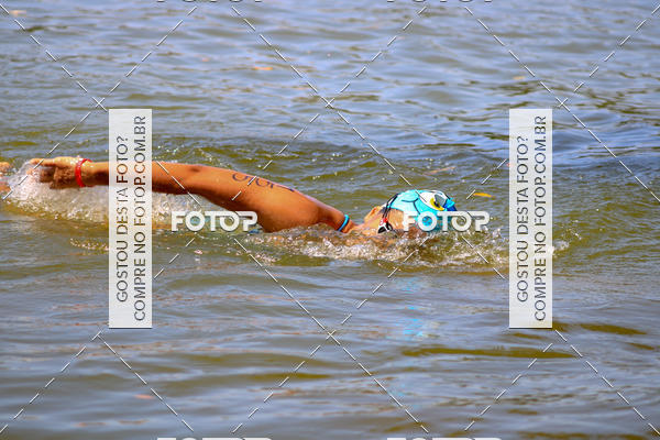 Buy your photos of the eventACQUAFEST Wet�n Wild on Fotop