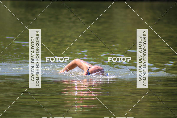 Buy your photos of the eventACQUAFEST Wet�n Wild on Fotop