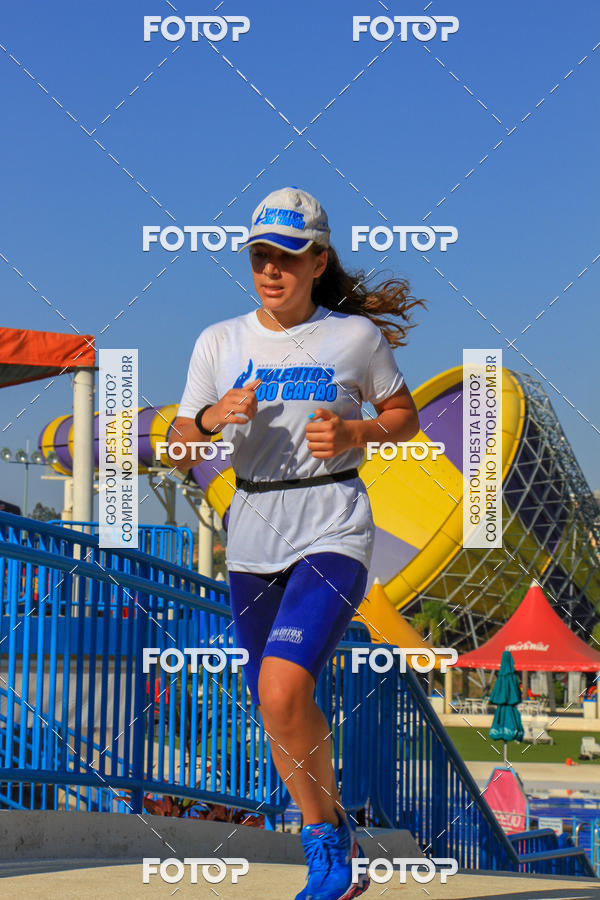 Buy your photos of the eventACQUAFEST Wet�n Wild on Fotop