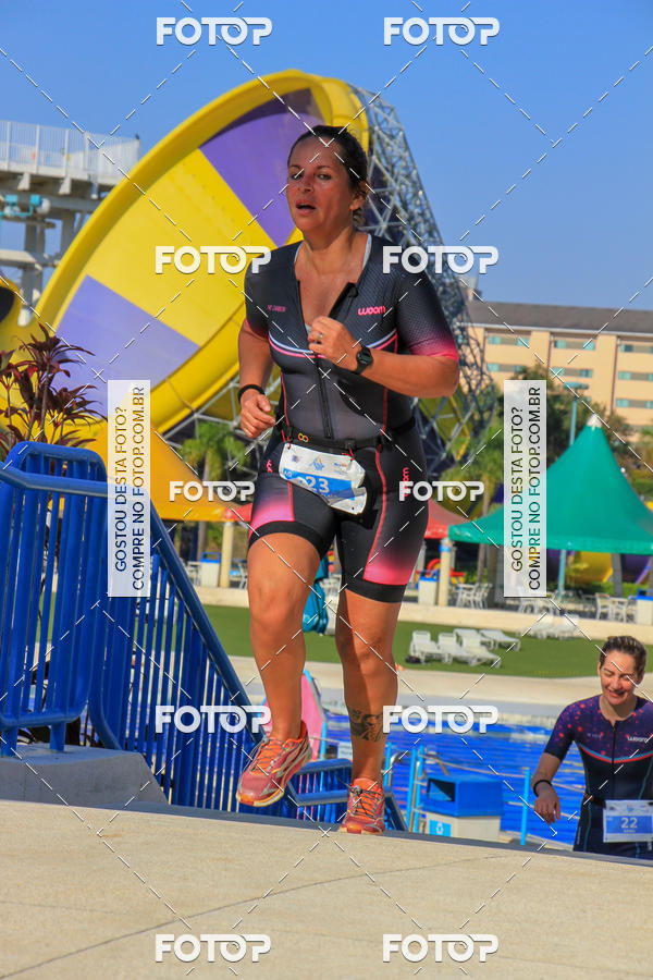 Buy your photos of the eventACQUAFEST Wet�n Wild on Fotop
