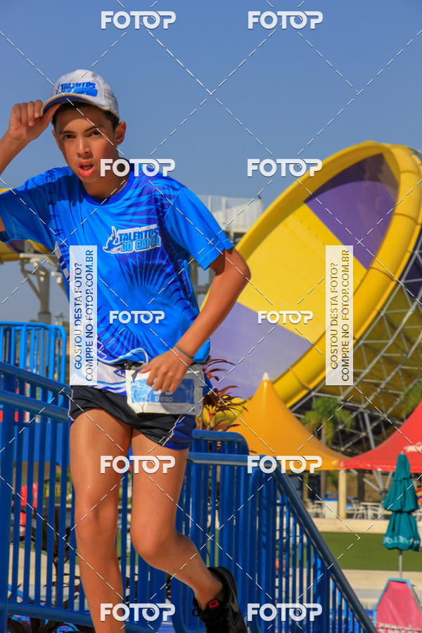 Buy your photos of the eventACQUAFEST Wet�n Wild on Fotop
