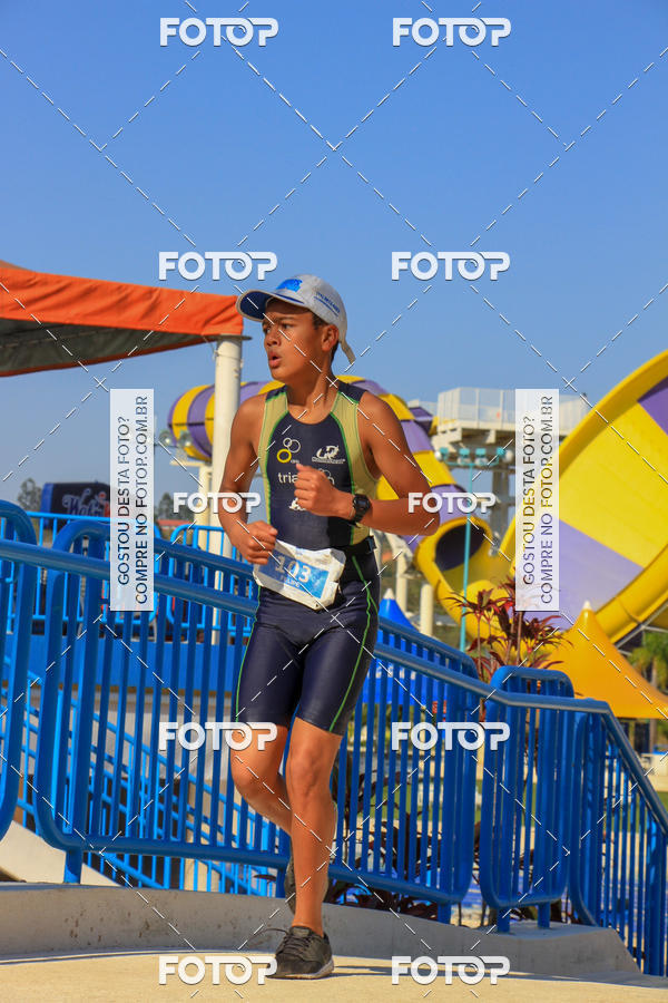 Buy your photos of the eventACQUAFEST Wet�n Wild on Fotop