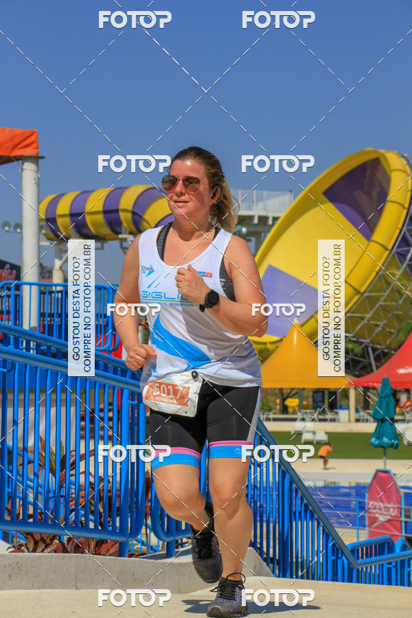 Buy your photos of the eventACQUAFEST Wet�n Wild on Fotop