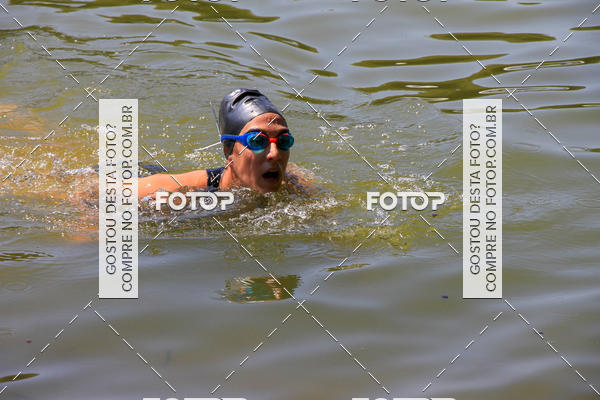 Buy your photos of the eventACQUAFEST Wet�n Wild on Fotop