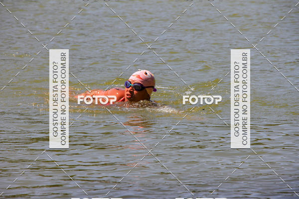Buy your photos of the eventACQUAFEST Wetn Wild on Fotop
