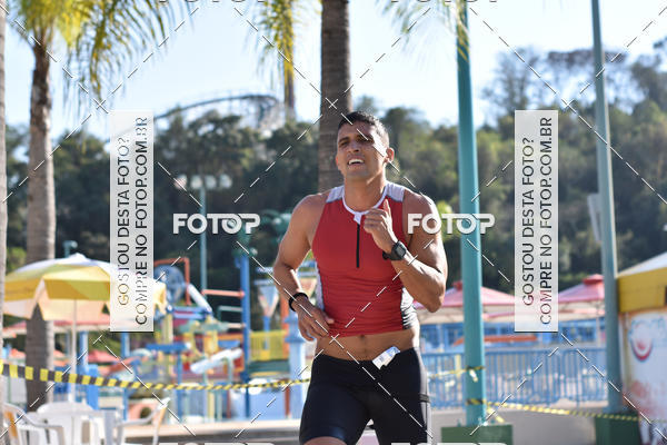 Buy your photos of the eventACQUAFEST Wet�n Wild on Fotop