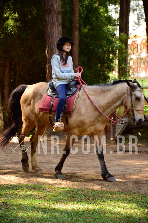 Buy your photos of the eventNR1 - Cl�ssico 27 a 29/07/18 on Fotop