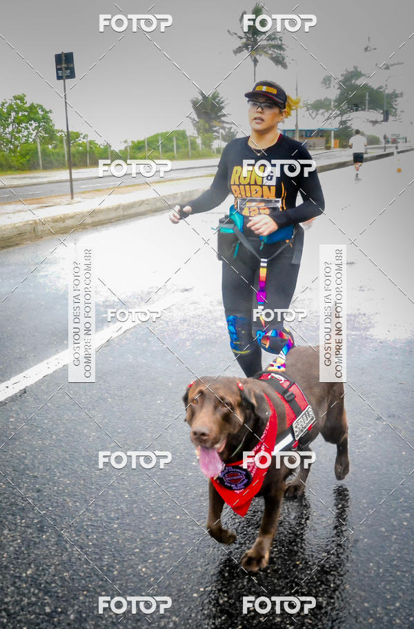 Buy your photos of the eventRun & Burn - Rio Harley Davidson on Fotop