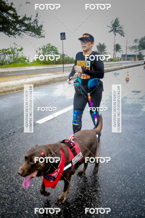 Buy your photos of the eventRun & Burn - Rio Harley Davidson on Fotop