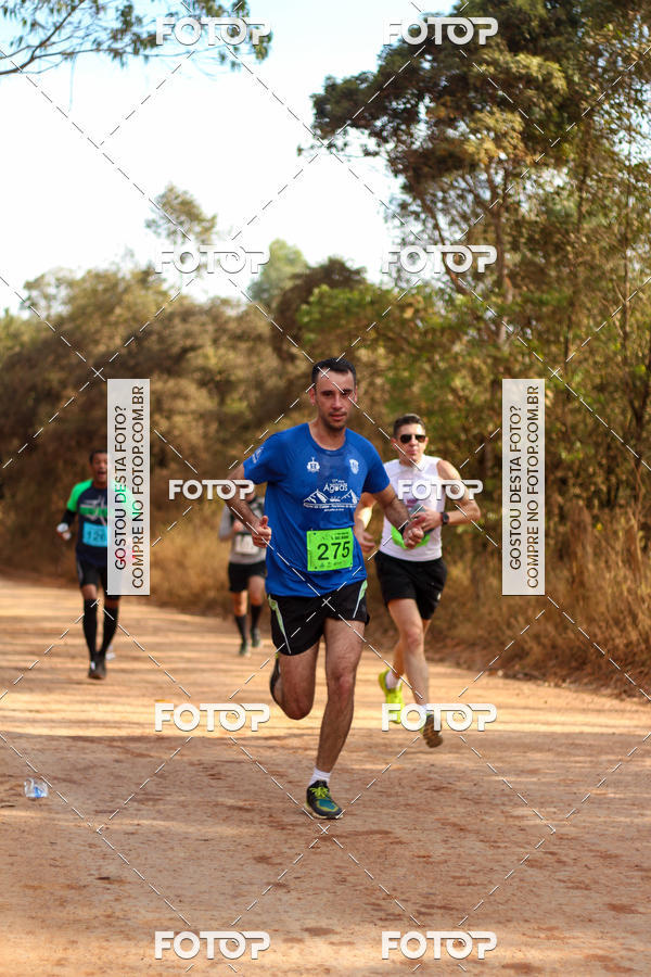 Buy your photos of the event11 Meia Maratona das guas - Poos / Pocinhos on Fotop